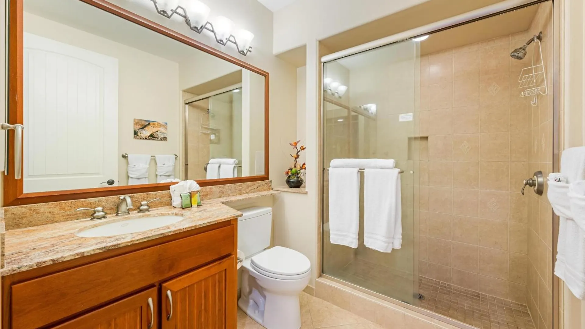 I33 Waikoloa Beach Villas Ferienhaus